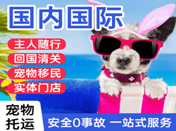 丹东浪头机场物流国际宠物托运 【国